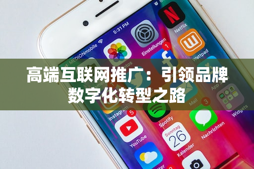 高端互联网推广：引领品牌数字化转型之路